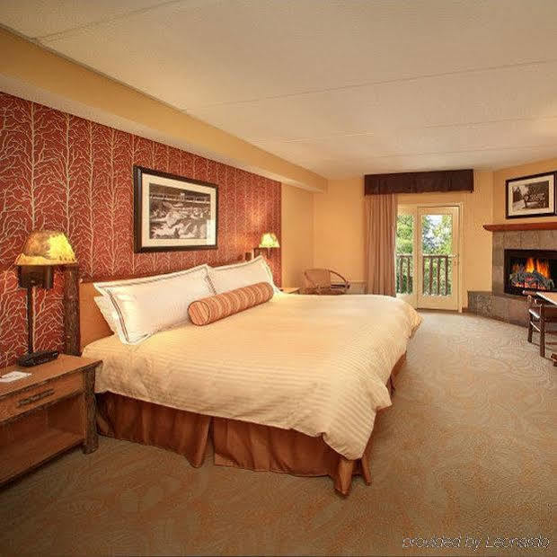 Bearskin Lodge On The River Gatlinburg Rum bild